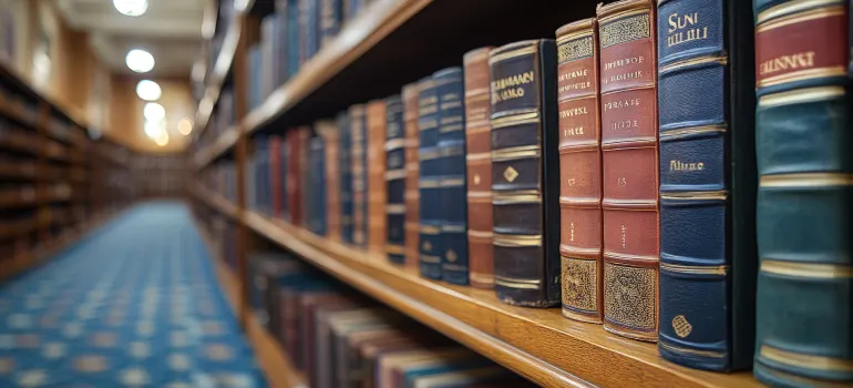 MASTER OF LIBRARY & INFORMATION SCIENCES